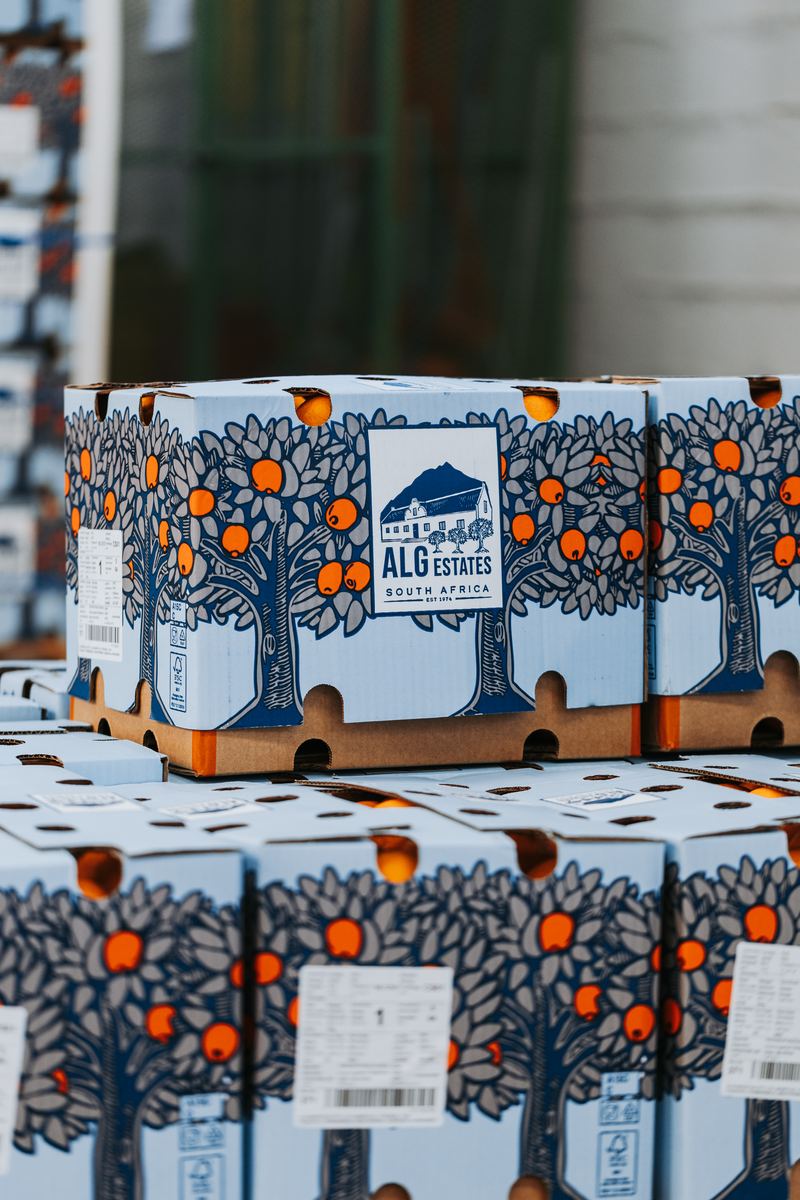 Stacked ALG Estates export cartons in the packhouse, printed with the company's orchard illustration and its mark.