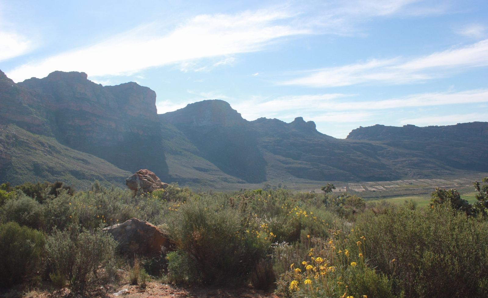 Cederberg cliffs above a fynbos slope near Citrusdal
