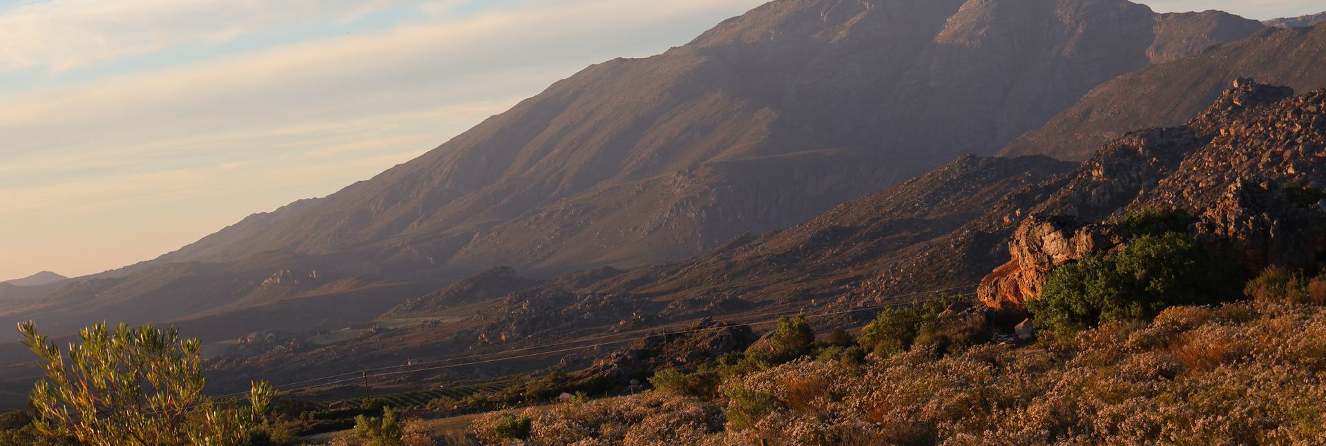 The Cederberg massif above the Citrusdal valley at golden hour