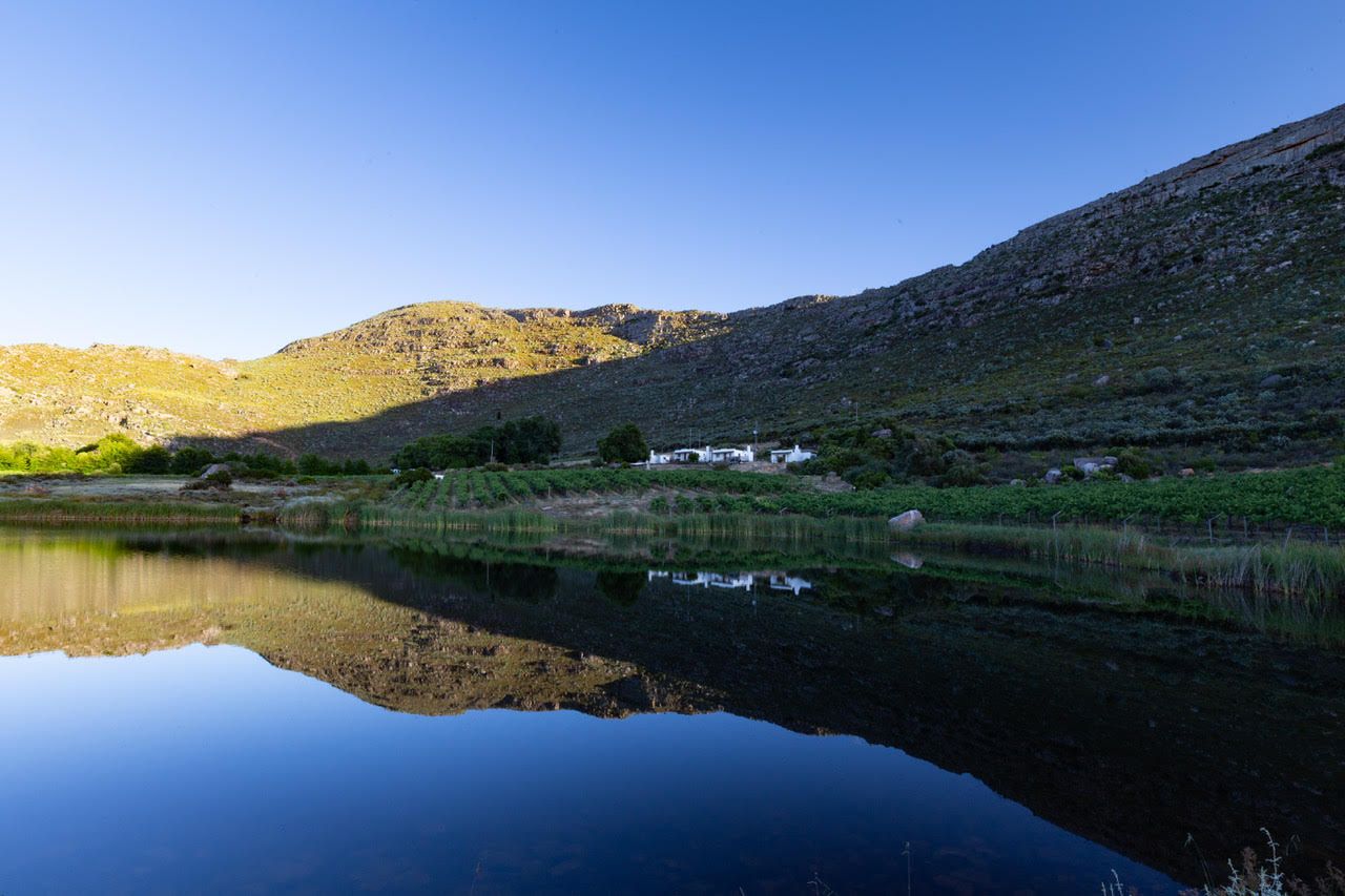The white farm buildings at Tierhoek across the dam in early light, reflected in still water