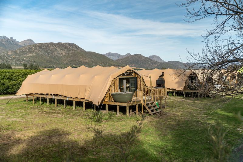 A row of canvas-roofed glamping villas on decks across a green lawn, with the Cederberg range beyond.