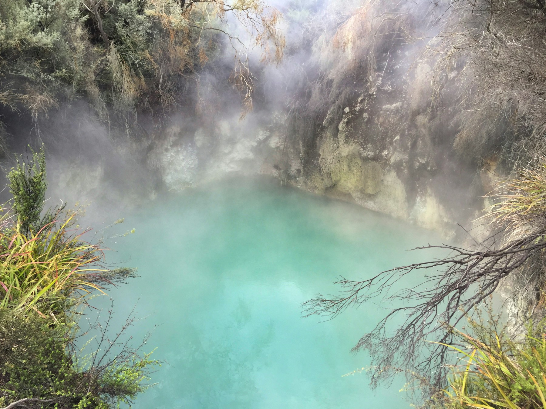 Springs