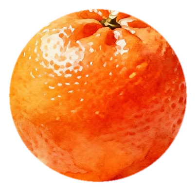 Watercolour painting of a whole orange